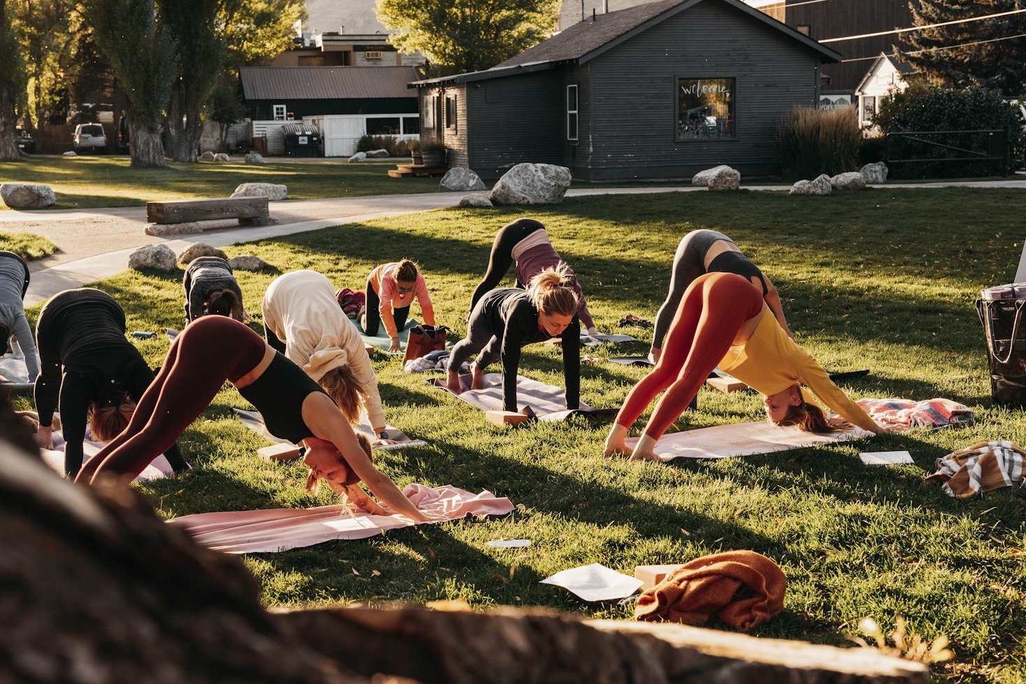 How Social Determinants Shape Our Health