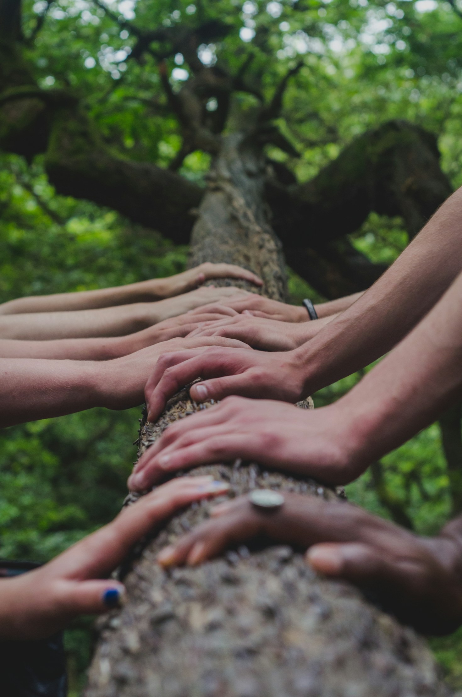 Creating Positive Change Through Health Empowerment